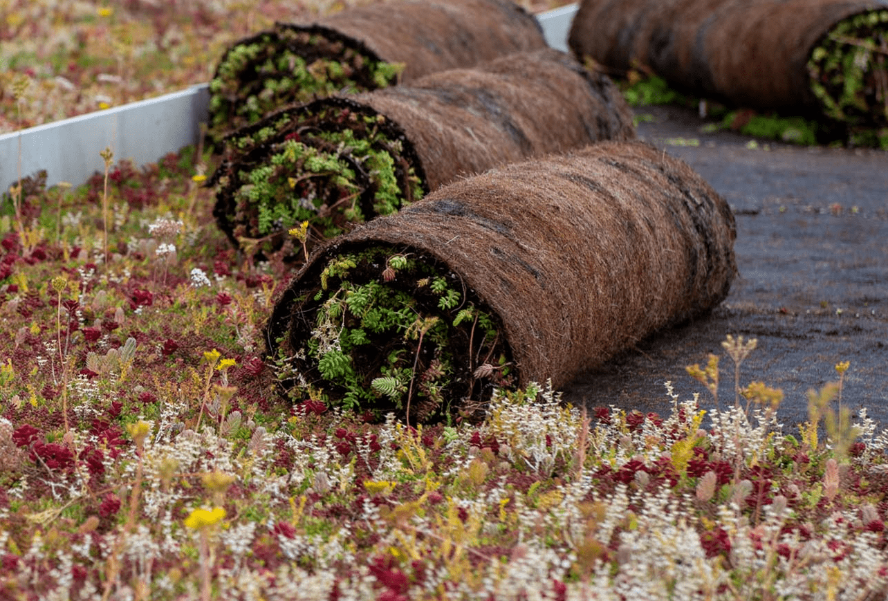 Roof Sedum UniMat 1